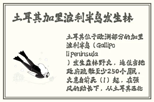 满18点此安全转入2023大象
